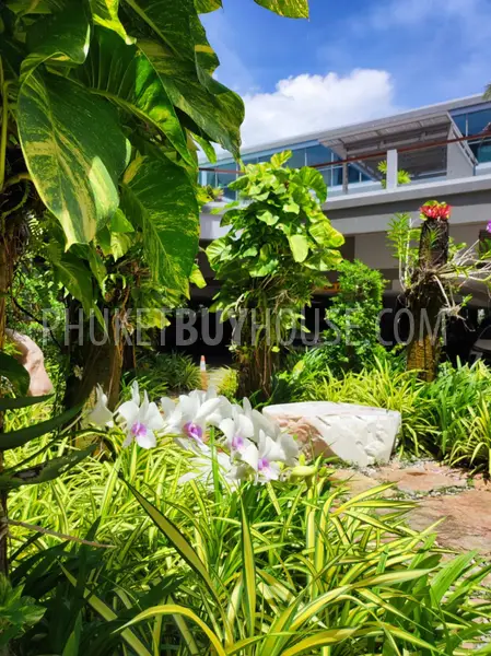BAN22059: Studio for Sale With Tempting Price in Bang Tao. 照片 #21