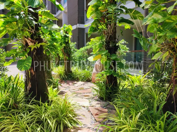 BAN22059: Studio for Sale With Tempting Price in Bang Tao. 照片 #22