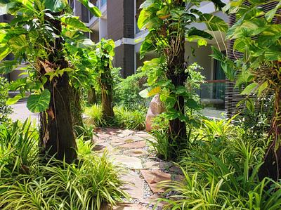 BAN22059: Studio for Sale With Tempting Price in Bang Tao. Photo #22