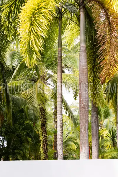 BAN22816: Contemporary Living Near the Beach. 照片 #29