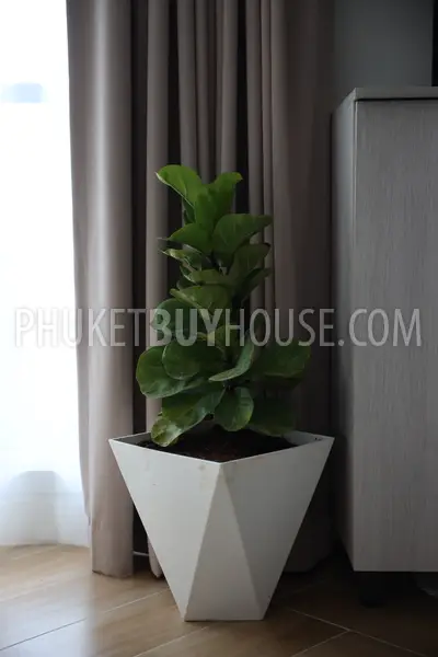 CHA22820: Modern 3-Bedroom Pool Villa with Private Garden in a Peaceful Chalong Neighborhood. 照片 #37