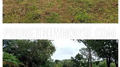 PHU22830: Prime Flat Land with Park & Lake Views Near Central Phuket for High-Potential Development. Photo #4