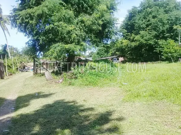 MAI22872: Prime Development Land Minutes from Mai Khao Beach. 照片 #4