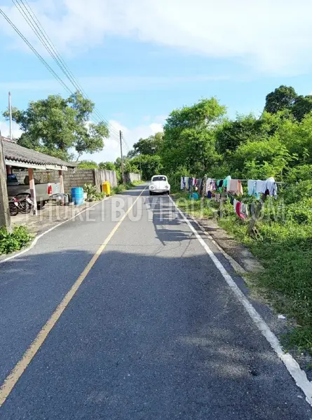 MAI22872: Prime Development Land Minutes from Mai Khao Beach. 照片 #7