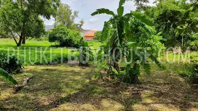 CHA22876: Low-Density Residential Land with Green Zoning in Chalong. Фото #6