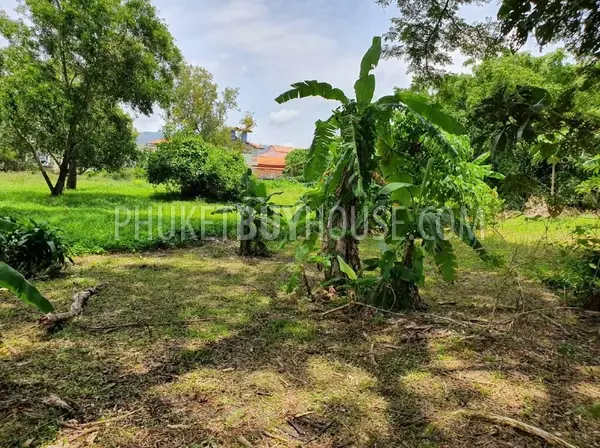 CHA22876: Low-Density Residential Land with Green Zoning in Chalong. 照片 #6