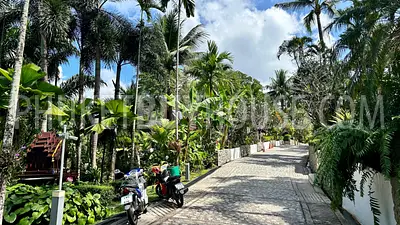 SUR22891: Sea View 5-bedroom Thai Villa with 12m Pool on Surin Hill. Fotoğraf #72