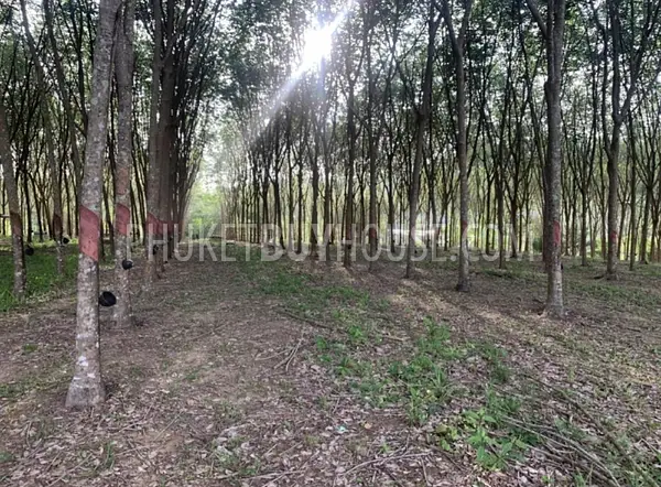 LAY22929: Prime Flat Land in Layan for Sale. Fotoğraf #5