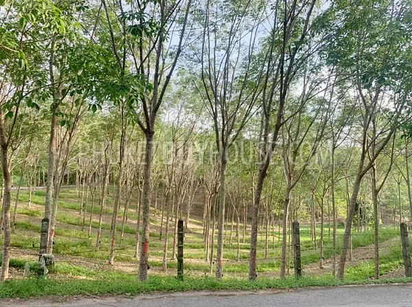 LAY22929: Prime Flat Land in Layan for Sale. Fotoğraf #6