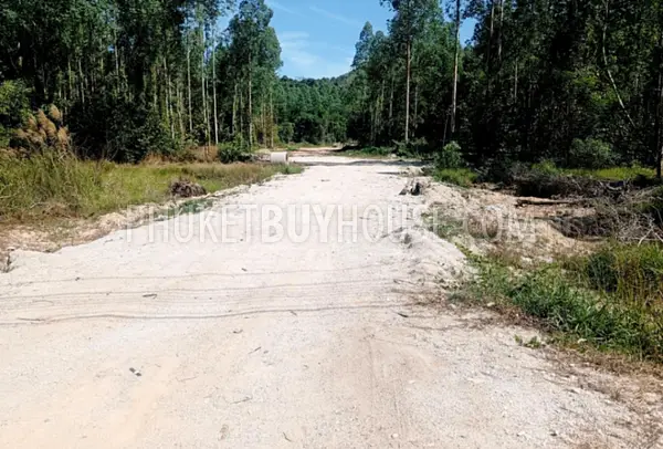 CHE22931: Ровный участок земли на продажу в Чернг Талай. Фото #5