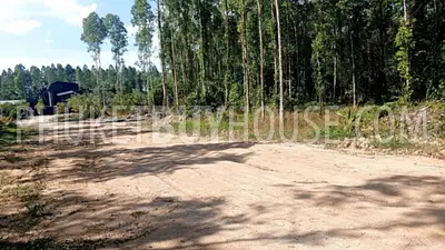 CHE22931: Flat Development Land for Sale in Cherng Talay. Photo #6
