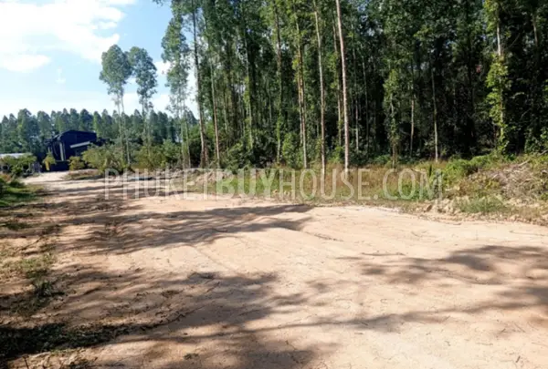 CHE22931: Ровный участок земли на продажу в Чернг Талай. Фото #7