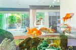 KTH13258: 5 Bedroom Pool Villa with Private Pool in Kathu. 缩略图 #32