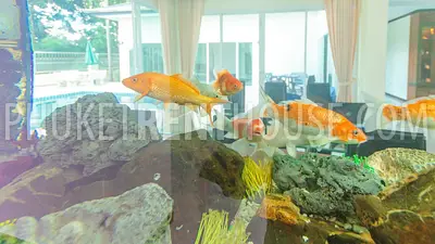 KTH13258: 5 Bedroom Pool Villa with Private Pool in Kathu. Photo #34