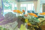 KTH13258: 5 Bedroom Pool Villa with Private Pool in Kathu. 缩略图 #34