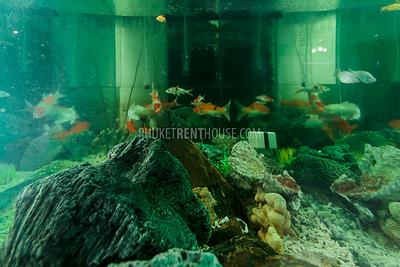 KTH13258: 5 Bedroom Pool Villa with Private Pool in Kathu. 照片 #37