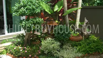 RAW2484: Garden Villa Rawai. 照片 #9