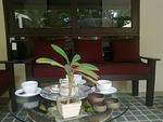 NAI14829: 4 Bedroom Villa close to the Nai Harn Beach. Thumbnail #8