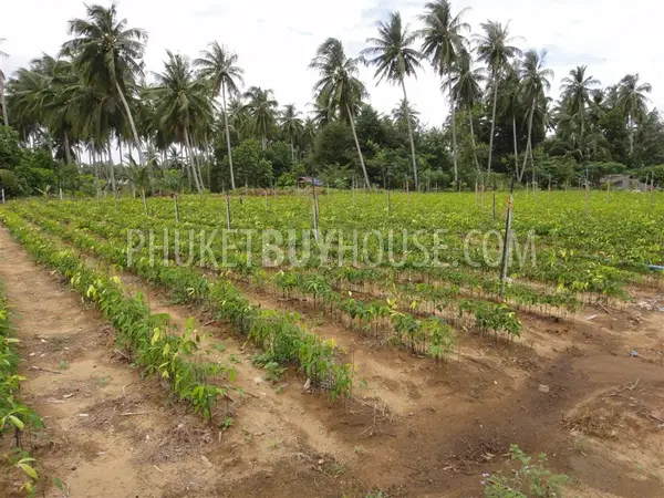 PHA2751: Natai Beach Area Land Plot For Sale. Photo #2
