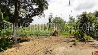 PHA2752: Pilai / Natai Beach Area Land Plot For Sale. Фото #1