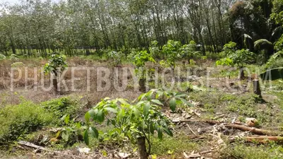 PHA2752: Pilai / Natai Beach Area Land Plot For Sale. Фото #2