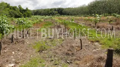 PHA2752: Pilai / Natai Beach Area Land Plot For Sale. Фото #3