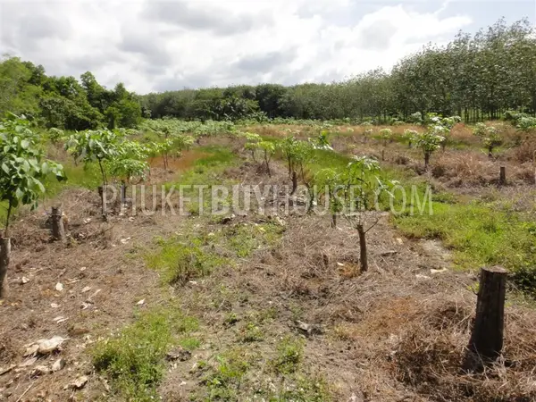 PHA2752: Pilai / Natai Beach Area Land Plot For Sale. Photo #3