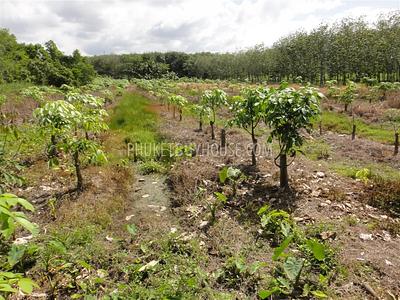 PHA2752: Pilai / Natai Beach Area Land Plot For Sale. Photo #4