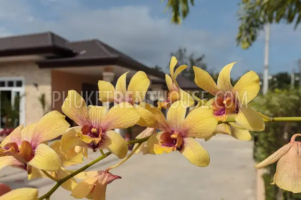 RAW16622: Brand new villas with private pool and garden near Rawai beach. Photo #20