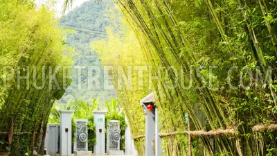 KAM16759: One Bedroom Villa in a private residence in Kamala. Photo #10