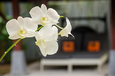 KAM16759: One Bedroom Villa in a private residence in Kamala. Photo #20