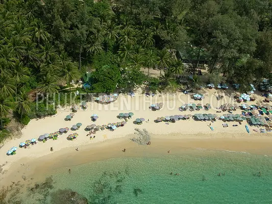 SUR16519: Stunning 4 Bedroom Villa in Surin. 照片 #16