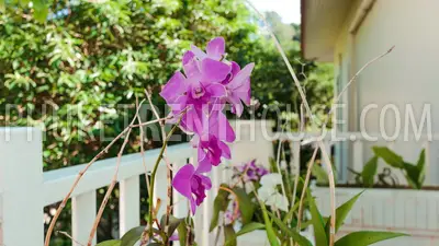 KAT17143: 4 Bedrooms Villa with private pool near Kata beach. Photo #30