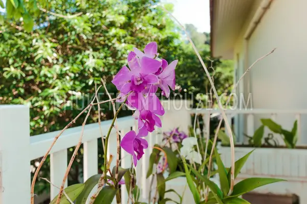 KAT17143: 4 Bedrooms Villa with private pool near Kata beach. Photo #30