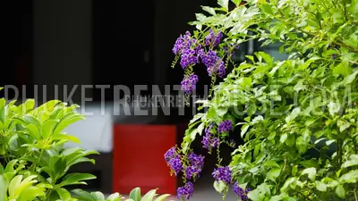 KAM17327: Promotion Price!!Three bedroom villa in a private residence in Kamala. Photo #6