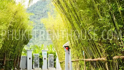 KAM17329: Promotion Price!! Four Bedroom Villa in a private residence in Kamala. Photo #64