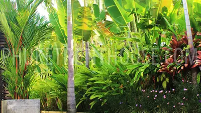 CAP16880: Luxury 5 Bedroom Villa in Cape Yamu. Photo #22