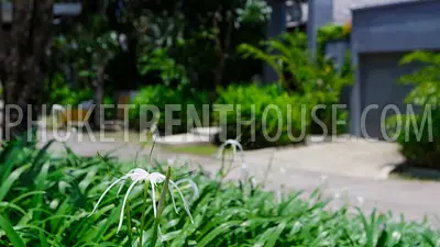 RAW18615: Villa with two bedrooms and private pool. Photo #3