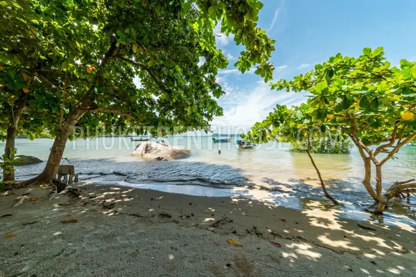 RAW18773: Luxury 4 Bedroom Sea View Villa with Infinity Swimming Pool for rent. 照片 #25