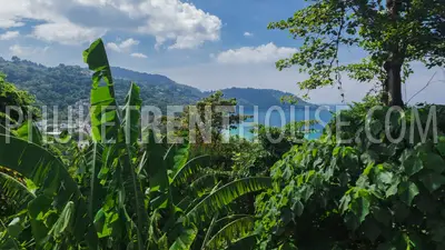 KAT18843: Amazing 4 Bedroom Villa For Rent, Kata Beach. Photo #8