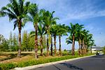 BAN19136: Pool View 3 Bedroom House at The Luxury Resort. Thumbnail #21