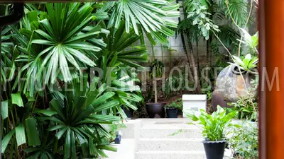 SUR19229: Fabulous 4 Bedroom Pool Villa in Surin. Photo #22