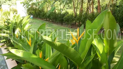 NAT19261: 3 Bedroom Pool Villa close to Naithon Beach. Photo #23