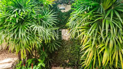 BAN18991: Modern 3 bedroom Pool Villa in Bang Tao area. Photo #4