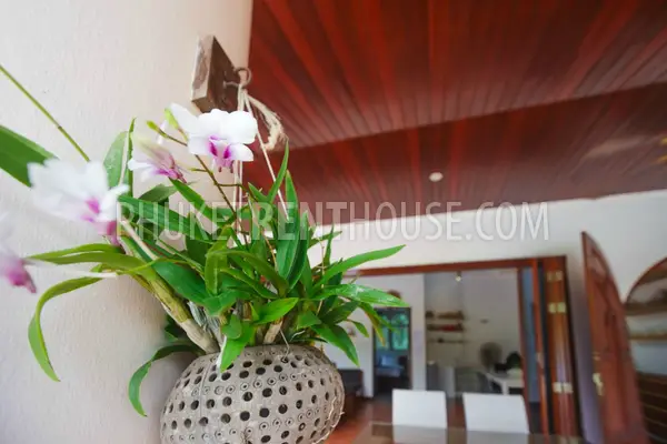 TAL19024: Amazing 3 Bedroom Villa with big swimming Pool in Paklok area. Photo #36