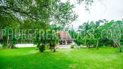 TAL19024: Amazing 3 Bedroom Villa with big swimming Pool in Paklok area. Photo #41
