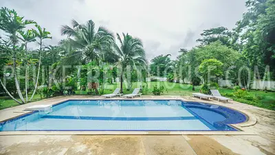 TAL19024: Amazing 3 Bedroom Villa with big swimming Pool in Paklok area. Photo #47