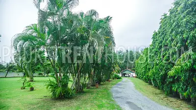 TAL19024: Amazing 3 Bedroom Villa with big swimming Pool in Paklok area. Photo #43