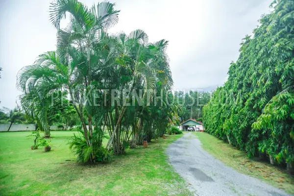 TAL19024: Amazing 3 Bedroom Villa with big swimming Pool in Paklok area. Photo #43