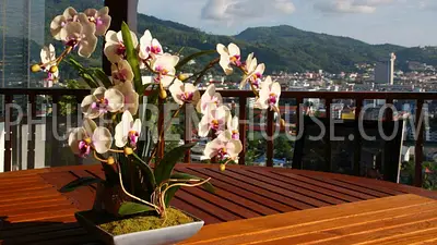 PAT19027: Large 5 Bedroom Villa with Breathtaking Sea Views in Patong. Photo #13